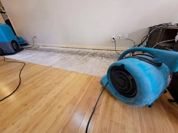 Professional Sewage Cleanup technician working in Oneonta, NY
